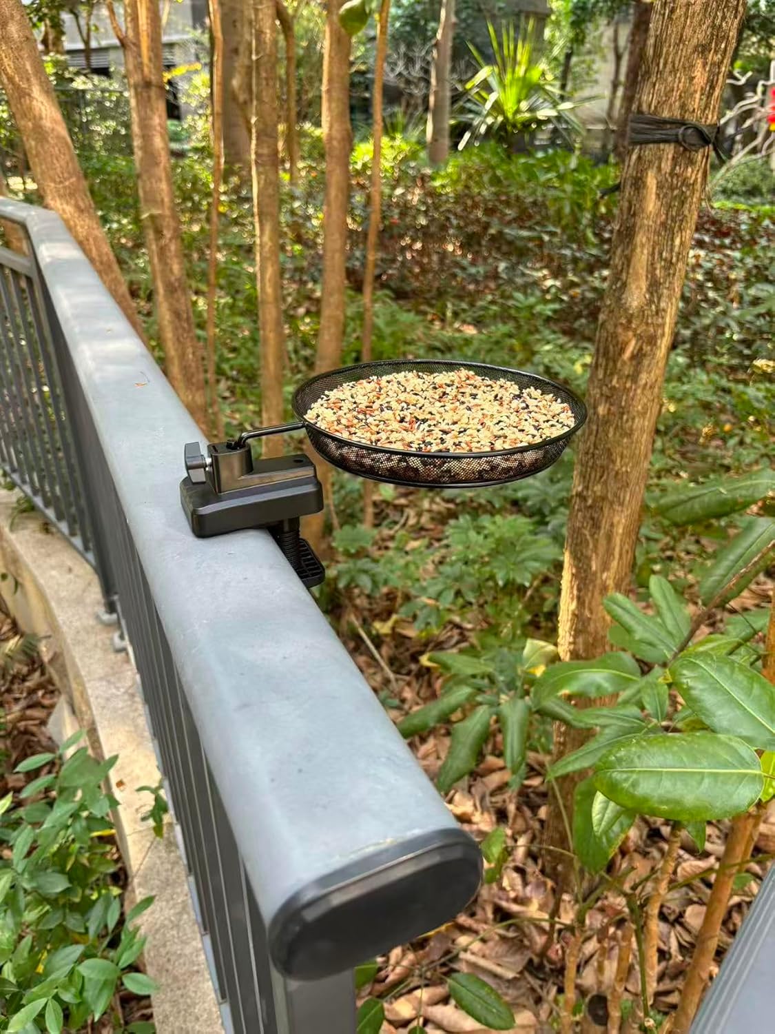 Railing/Fence/Pole Mount Bird Feeder 8" Metal Mesh Birdseed Tray for D