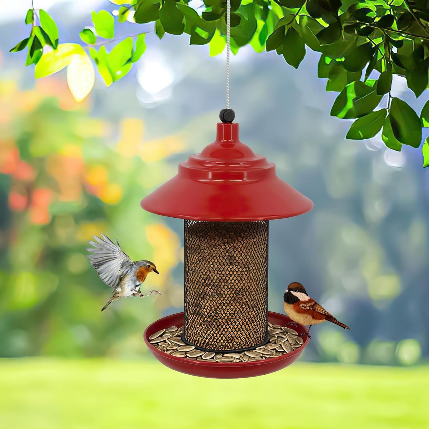 Metal Roof Bird Feeder - Chew Proof for Outdoor Hanging Wild Bird Seed