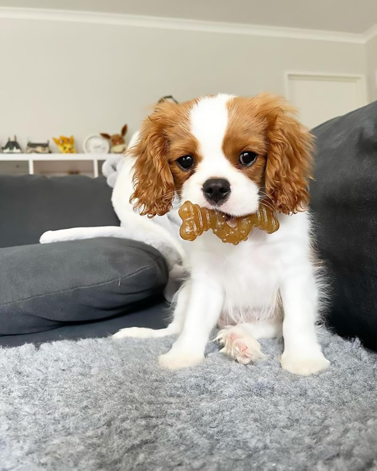 Nylabone Ring Bone Chew Toy for Puppies, Puppy Teething Toys, Puppy En