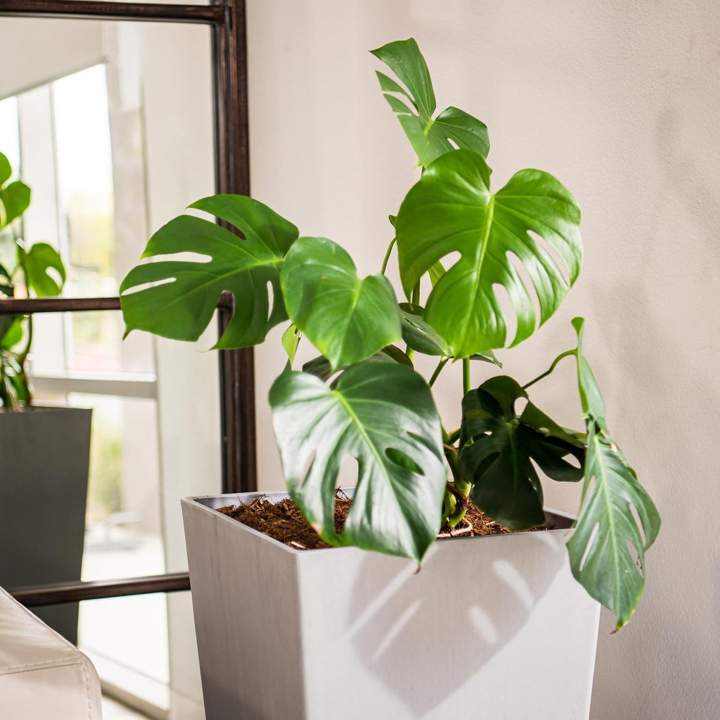 XBrand Modern 28-Inch Square Planter, Modern Tapered Perfect for Indoo