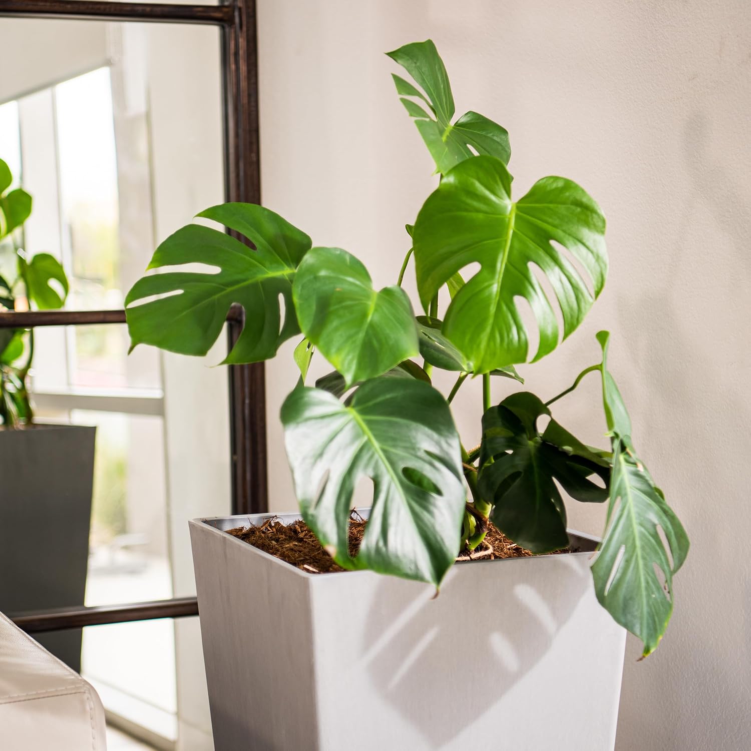 XBrand Modern 28-Inch Square Planter, Modern Tapered Perfect for Indoo