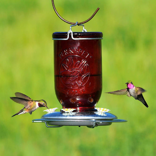 Perky-Pet Red Mason Jar Vintage Glass Hummingbird Feeder - Outdoor Garden Décor - 32-oz capacity, 786-1SR
