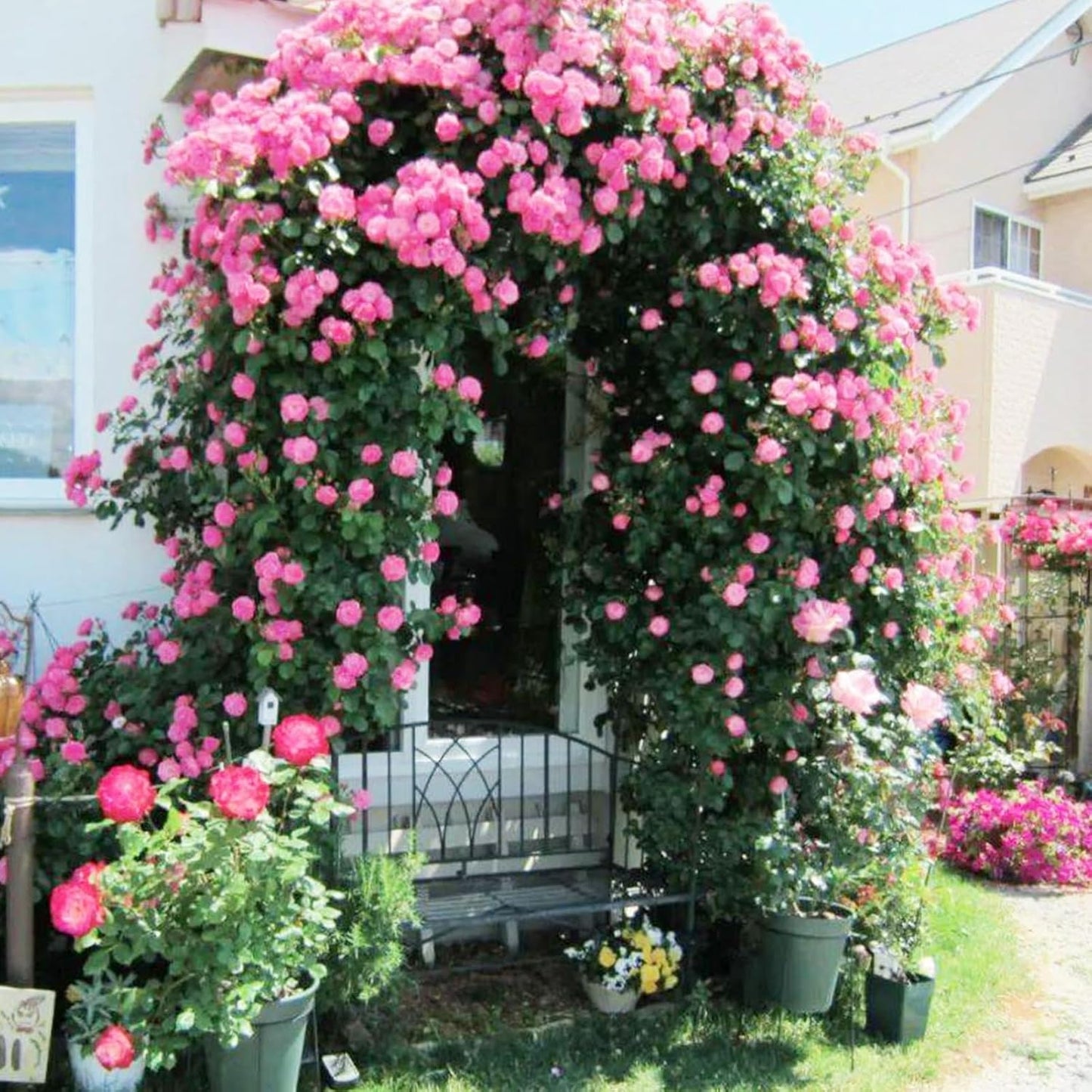 Garden Arch Trellis for Climbing Plants, Wedding Archway, Easy Assembly Rose Arbor, Outdoor Garden Decoration, Green Color, 140x230x25cm, Durable Support Structure