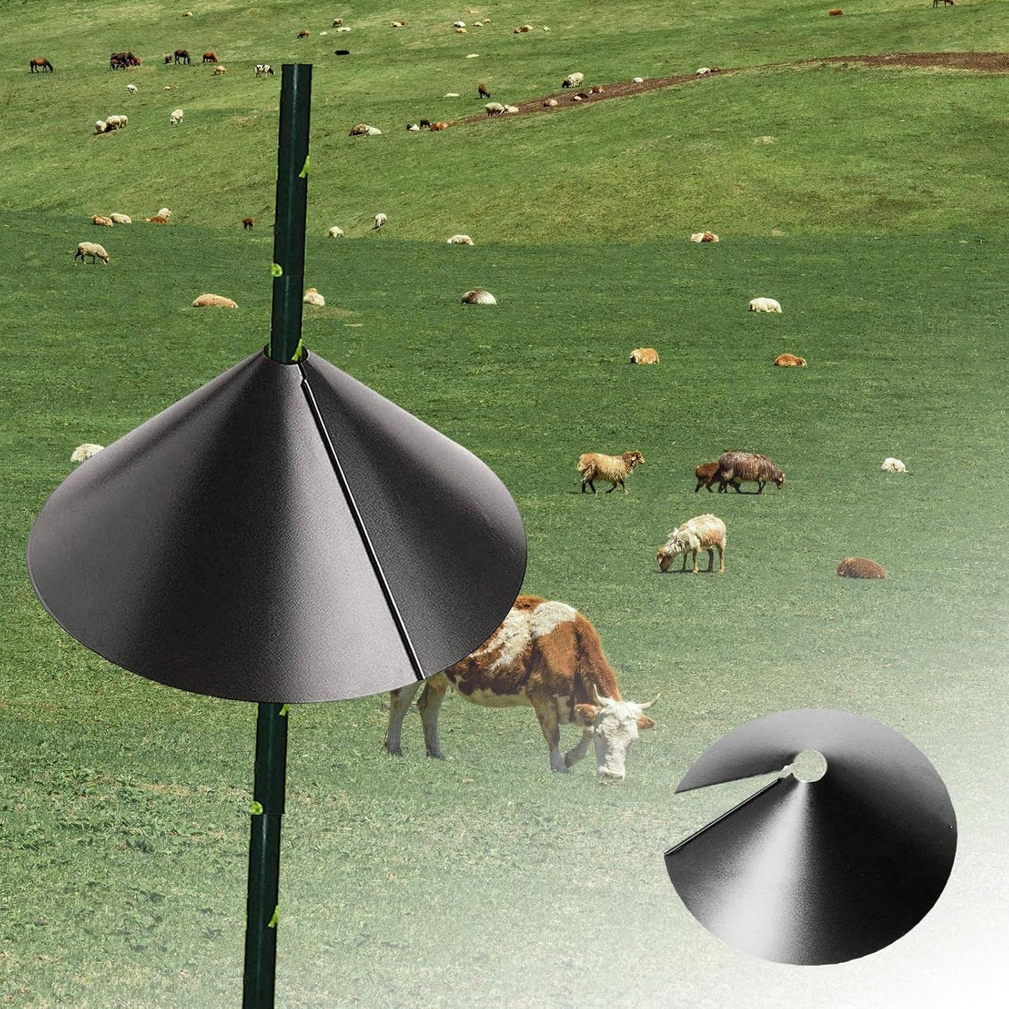 Squirrel Baffle Protect Birdhouses Birdhouses Outdoor Yard Garden