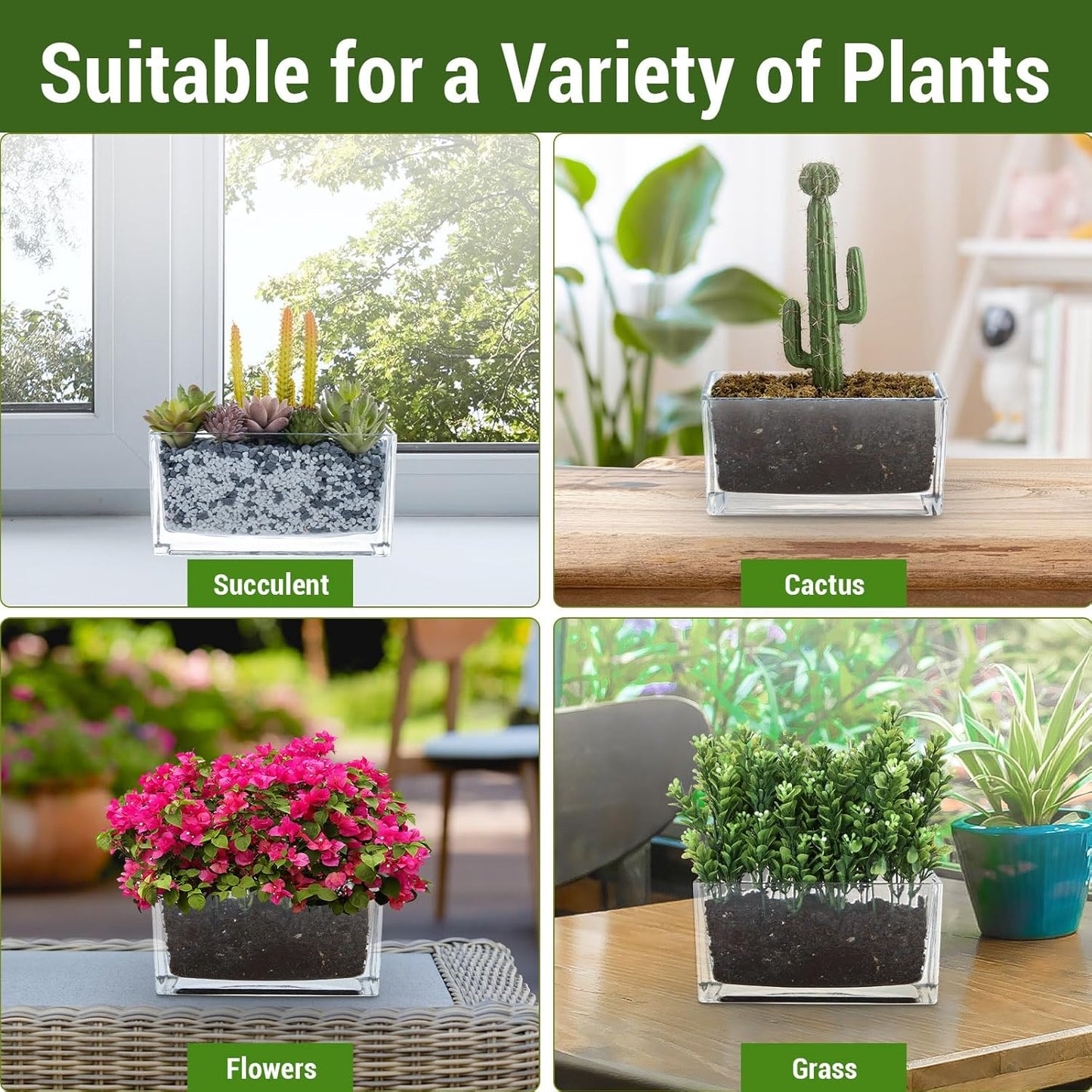MyGift 7.8 inch Modern Rectangular Glass Vase, Trough Planter, Tabletop Glass Terrarium