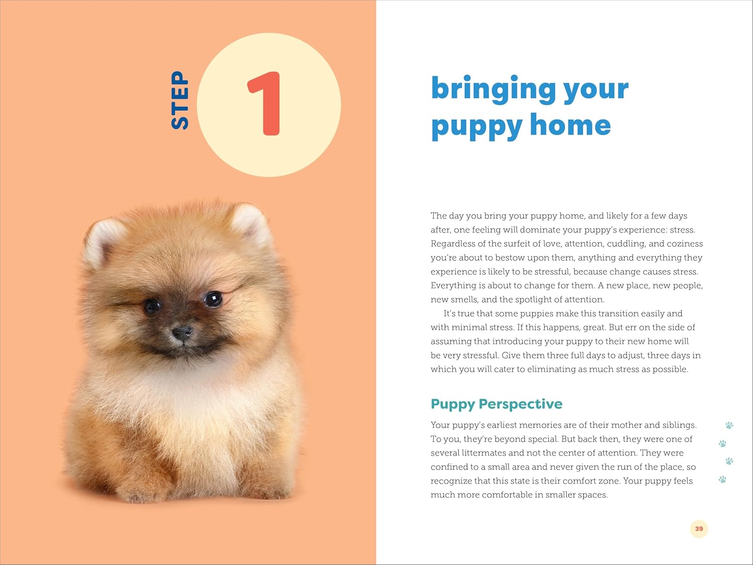 Puppy Training in 7 Easy Steps: Everything You Need to Know to Raise t
