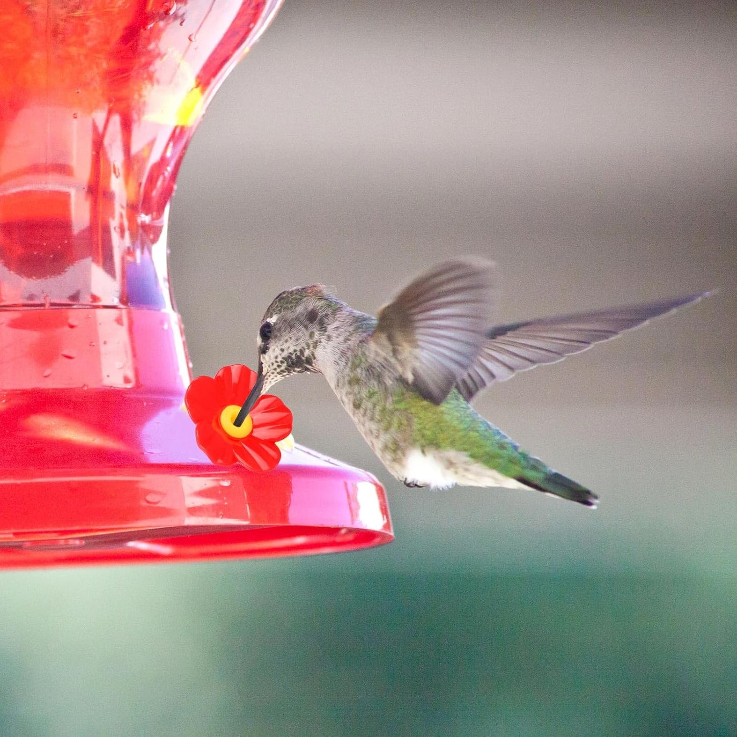 30pcs Hummingbird Feeder Replacement Flowers with 4 Cleaning Brushes, Replacement Feeding Ports Bird Feeder Parts for Hummingbird Feeders