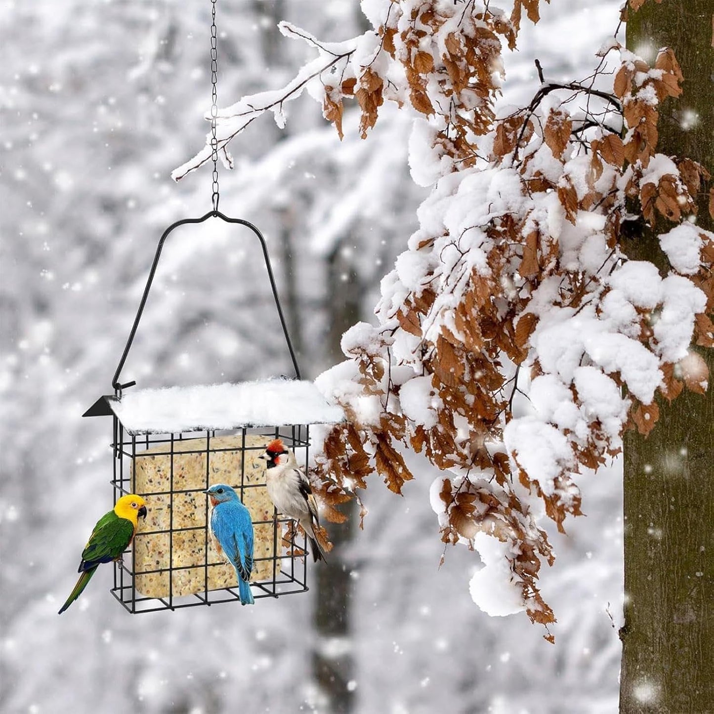 Bird Feeders for Outside - Metal Food Holder for Hummingbird - Weatherproof Bird Food Rack | for Garden Backyard Balcony Apartment Fence Porch Patio Outdoor