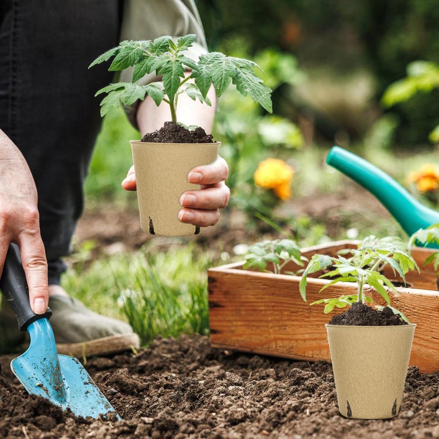 Aulock 36 Sets Plant Nursery Pots with Humidity Dome - 3in Seed Starti