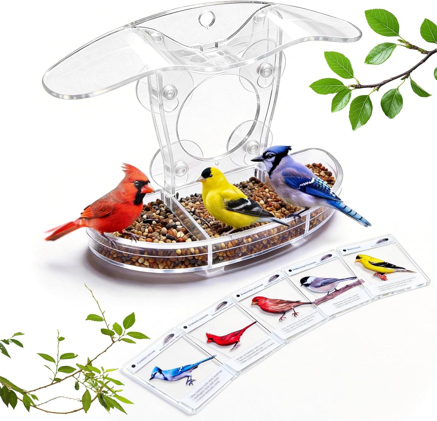 Window Bird Feeder with 5 Acrylic ID Cards - Clear Bird House for Outside with Removable Tray & Drain Holes - 4 Strong Suction Cups, Panoramic View for Wild Birds, Cat TV, Nature Gift