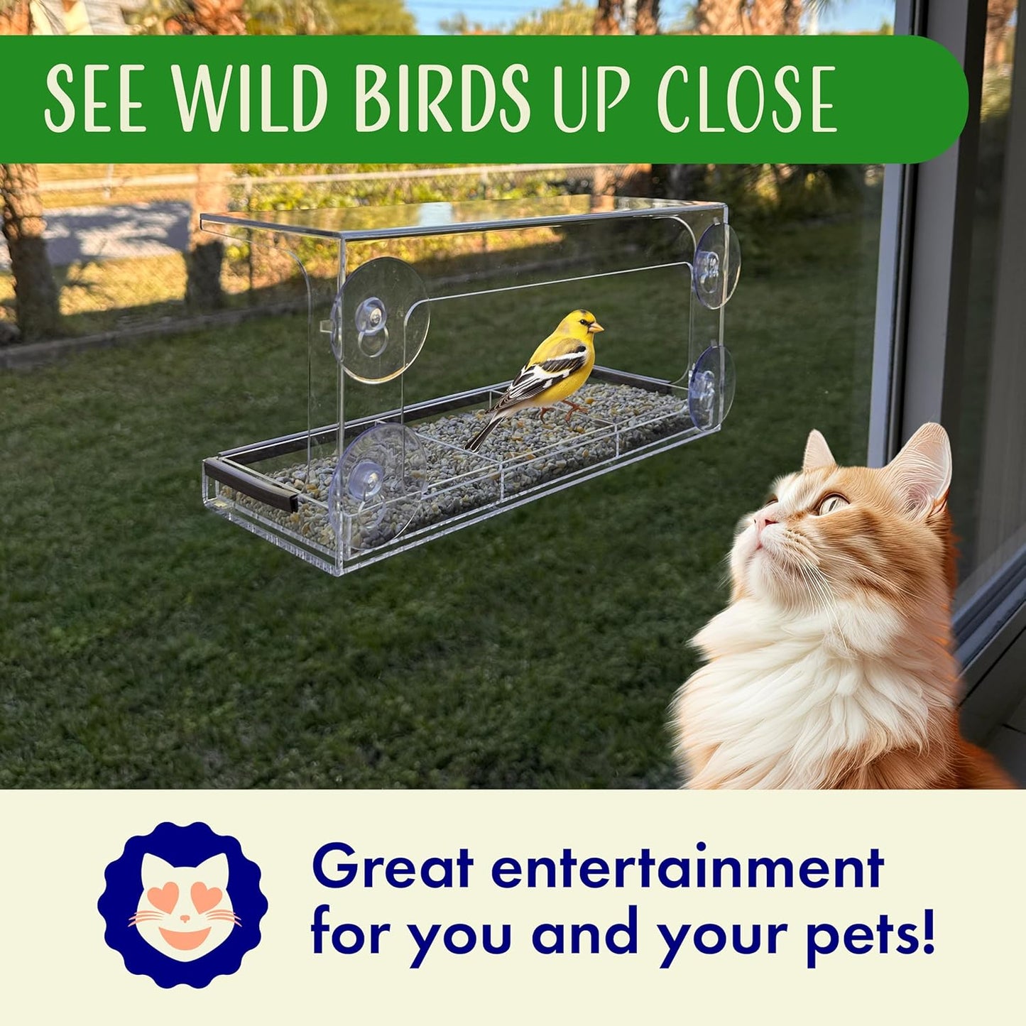 Clear Window Bird Feeder - Sturdy & Easy to Install with Strong Suction Cups-Detachable Design for Effortless Cleaning-Perfect Wildlife Watching by Cats, Kids & Elderly-Window Bird Feeders for Outside