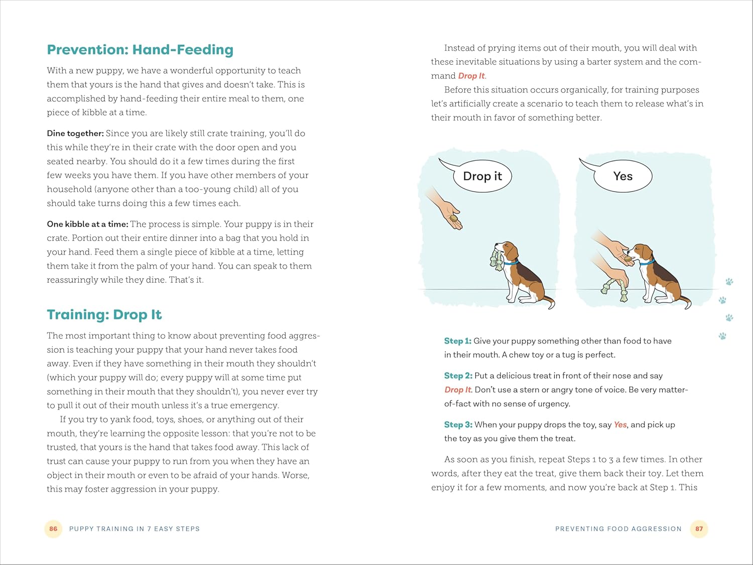 Puppy Training in 7 Easy Steps: Everything You Need to Know to Raise t
