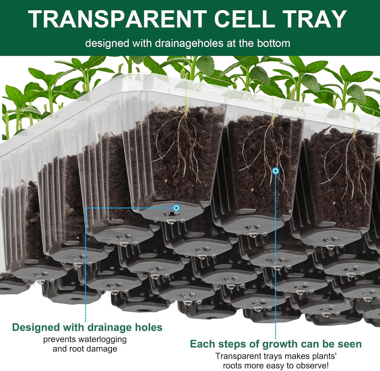 5 Pack Seed Starter Tray Seed Starter Kit (200 Cells Total Tray) with 