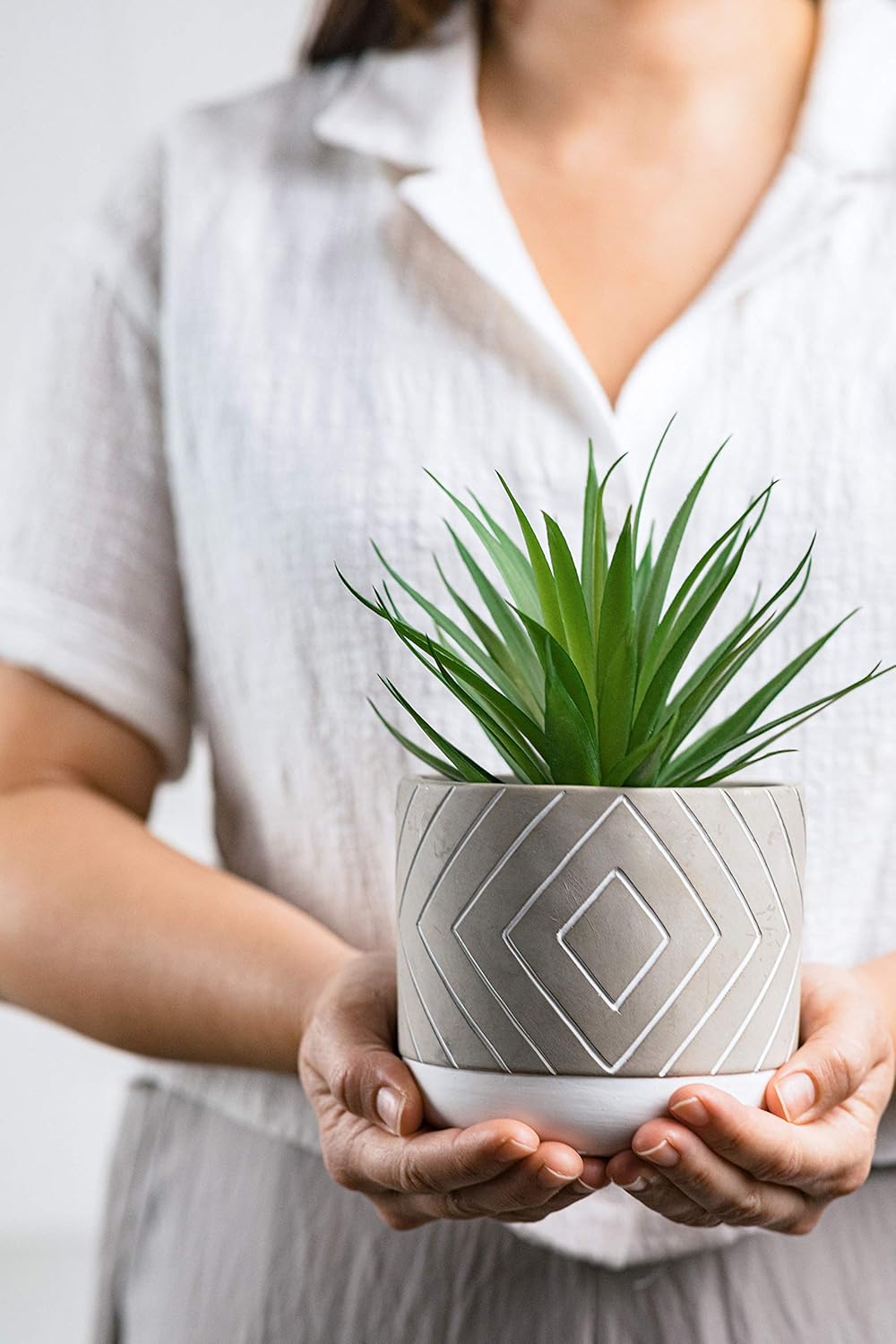 Kurrajong Farmhouse Desk Plant | 8" Small Artificial Plants in Pots | Handmade Cement Pot with Small Fake Plant | Decorative Plants for Office, Bathroom, Shelf Decor | Faux Plant Indoor