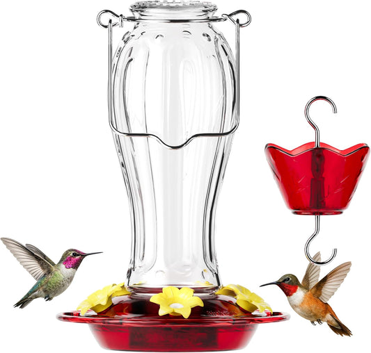 Birdream Glass Hummingbird Feeder for Outdoors, 18oz Hanging Nectar Ho