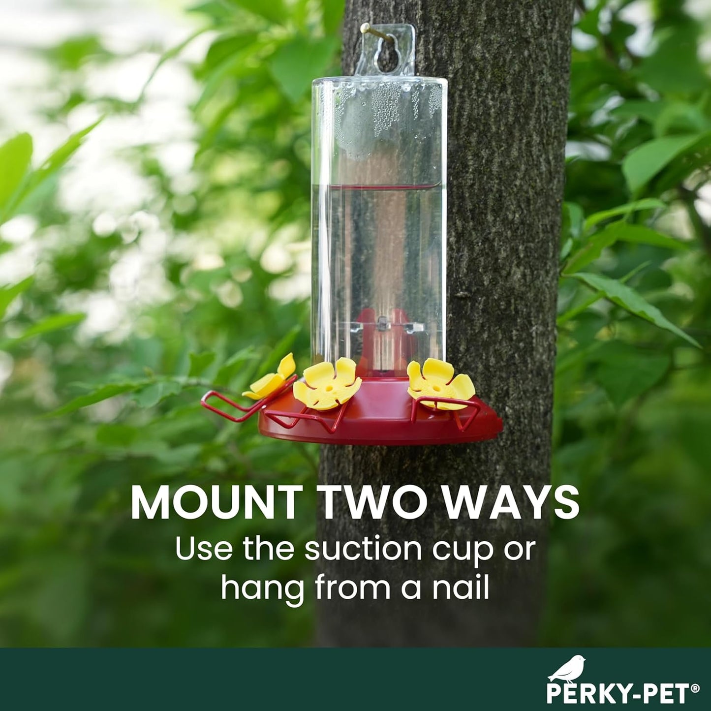 Perky-Pet Plastic Window Mount Hummingbird Feeder with Perches - 8 oz 