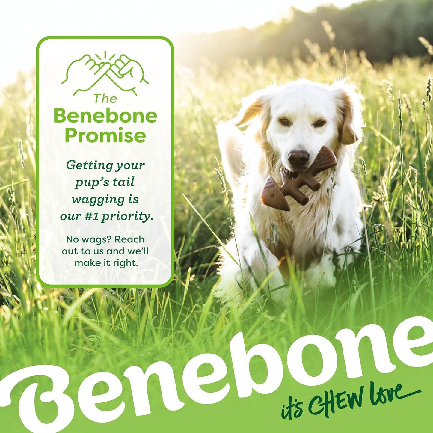 Benebone Medium 4-Pack Dog Toys for Aggressive Chewers – Durable Dog B