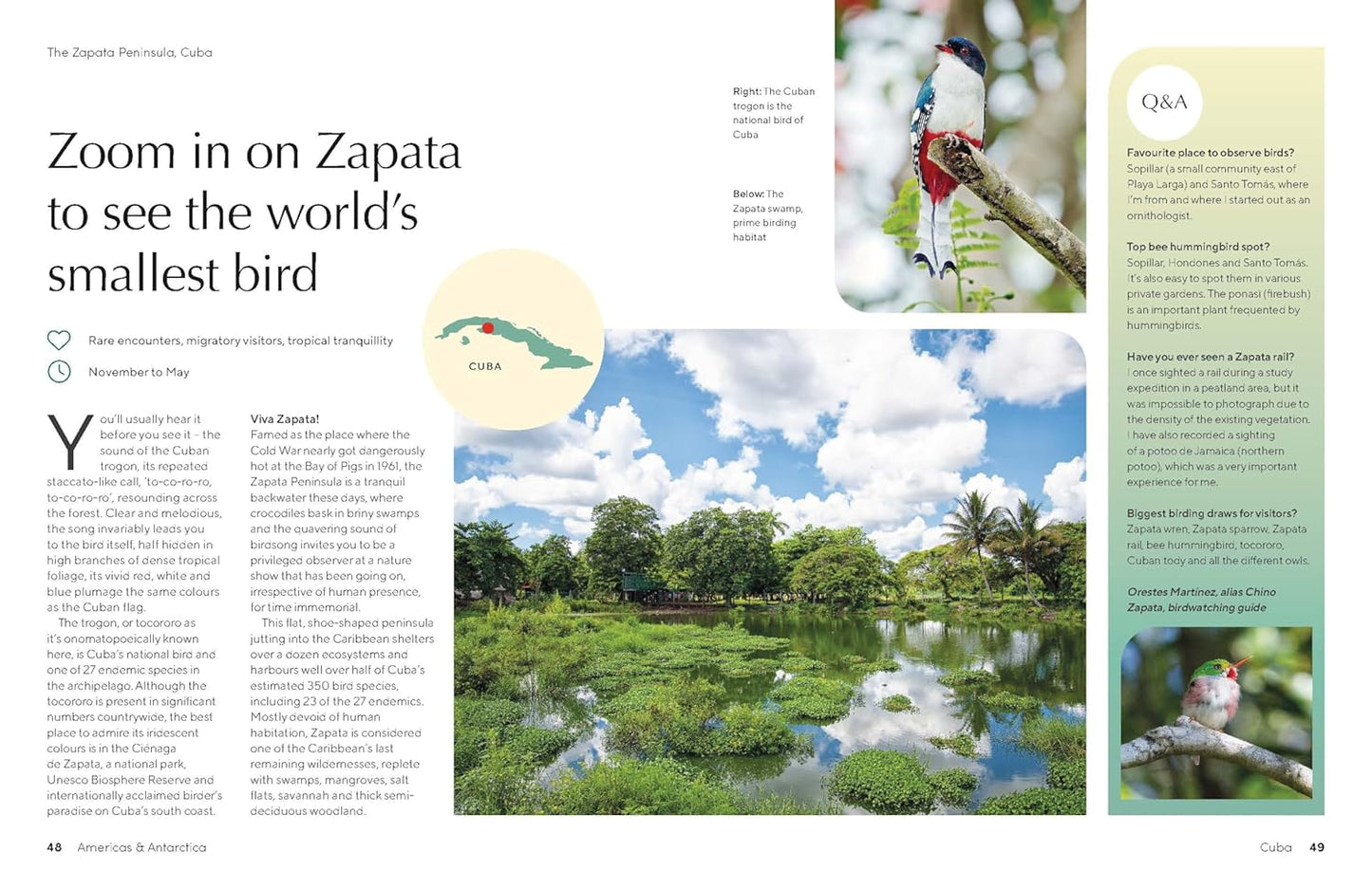 Lonely Planet The Joy of Birdwatching