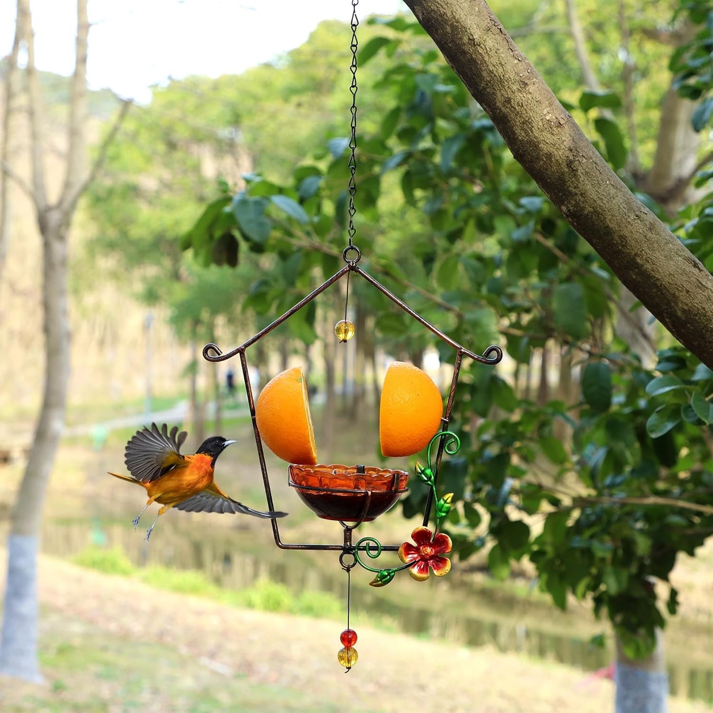 FORUP Oriole Bird Feeder for Outdoors Jelly and Oranges, Orange Fruit 