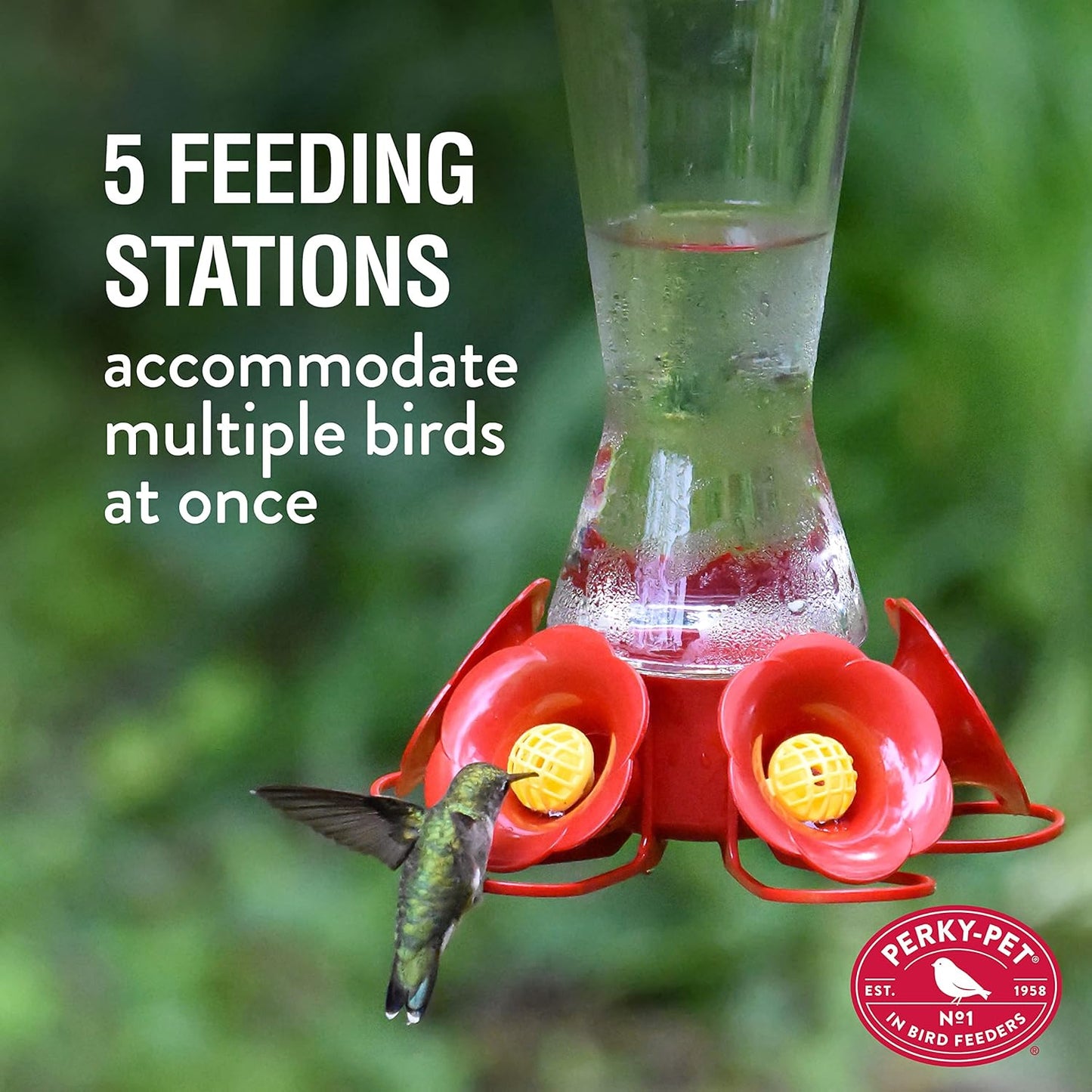 Perky-Pet Favored Pinch-Waist Glass Hummingbird Feeder with Built-in Ant Moat and Bee Guards - 16 oz Capacity - 204CP-4