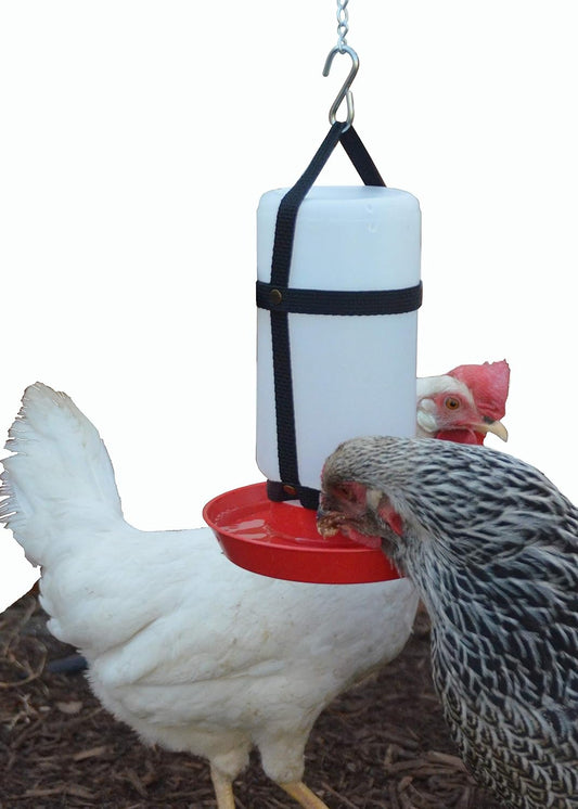 1 Qt. Hanging Harness with Plastic Bottle and Waterer Base