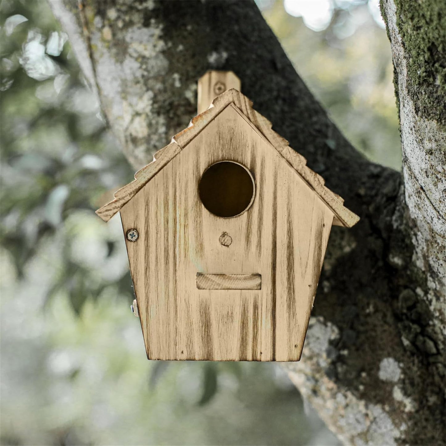 Bird Houses - Wooden Bird House for Outside with Pole - 1-1/2 Inch Entrance Hole for Bluebirds, Wrens, Chickadees, and Tree Swallows - Hanging Birdhouse for Garden