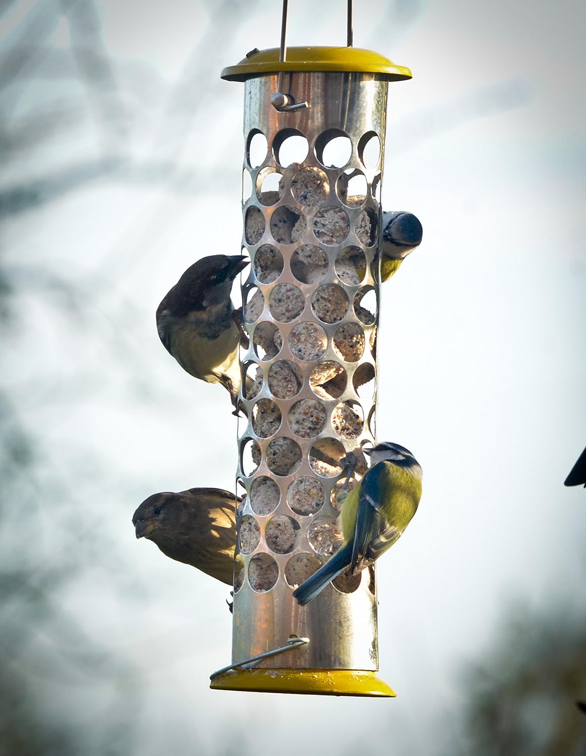 Peckish Daily Goodness Nugget Bird Feeder