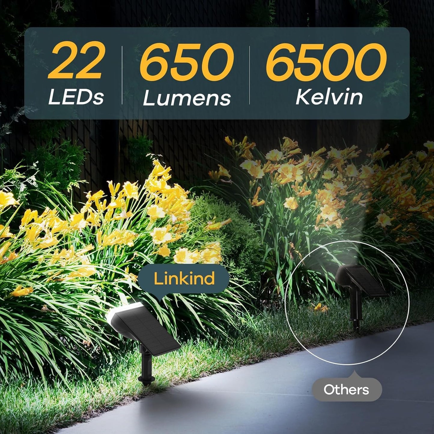 Linkind Solar Lights Outdoor Waterproof IP65, StarRay Dusk-to-Dawn Out