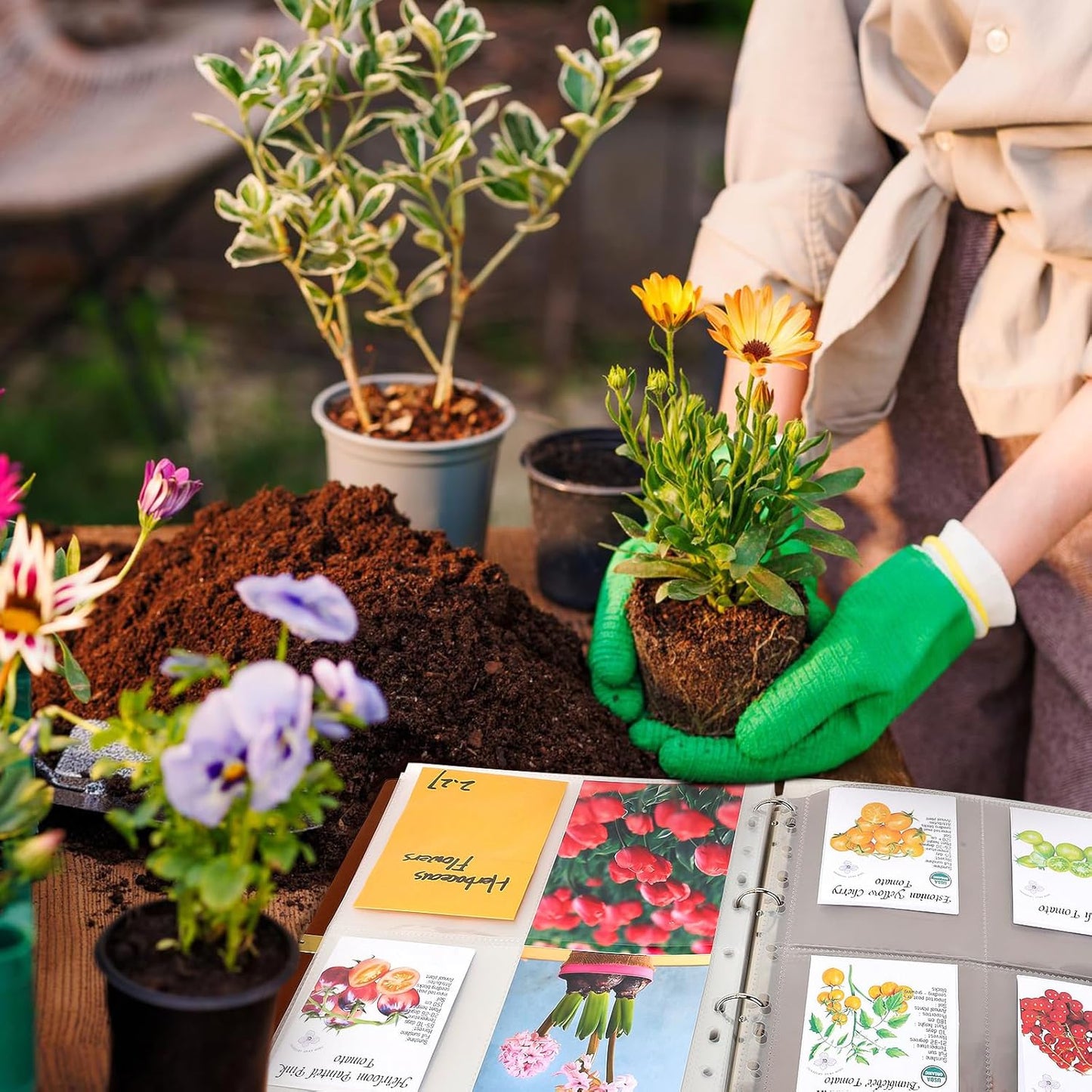 Seed Packet Organizer Binder, Garden Planner Packet with 25 Pack Clear