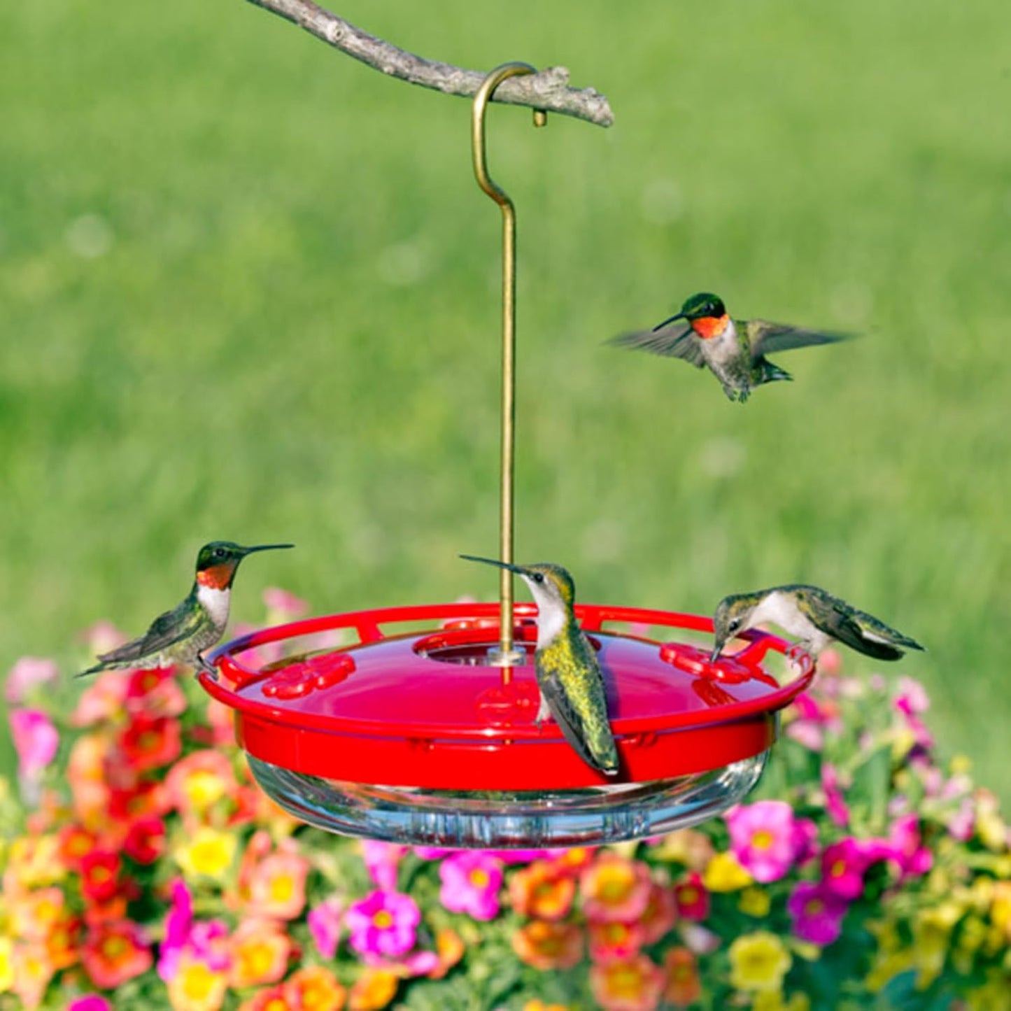 Aspects HummZinger HighView 12 Oz Hanging Hummingbird Feeder - 429, Red
