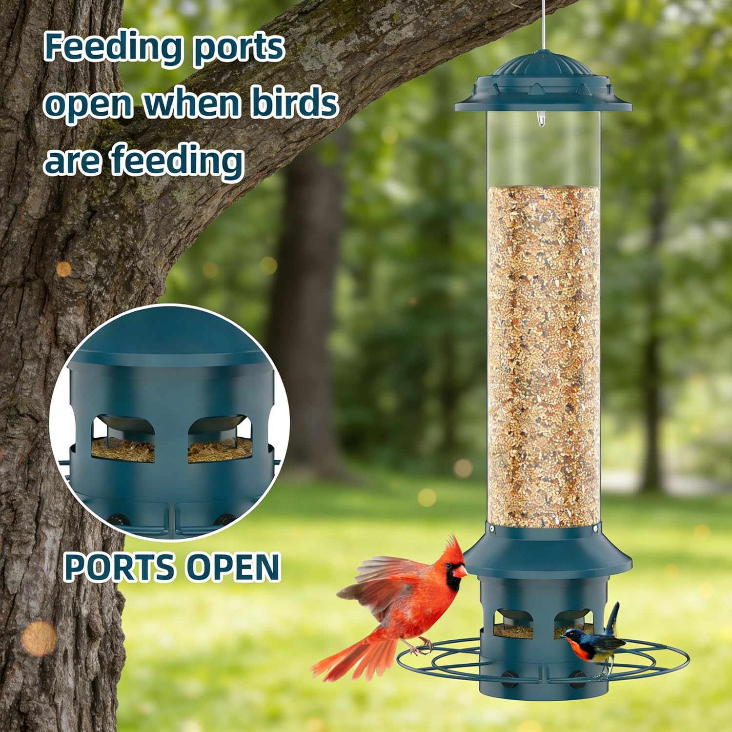 Metal Squirrel Proof Bird Feeders for Outdoors Hanging 4.0 LB Large Ca