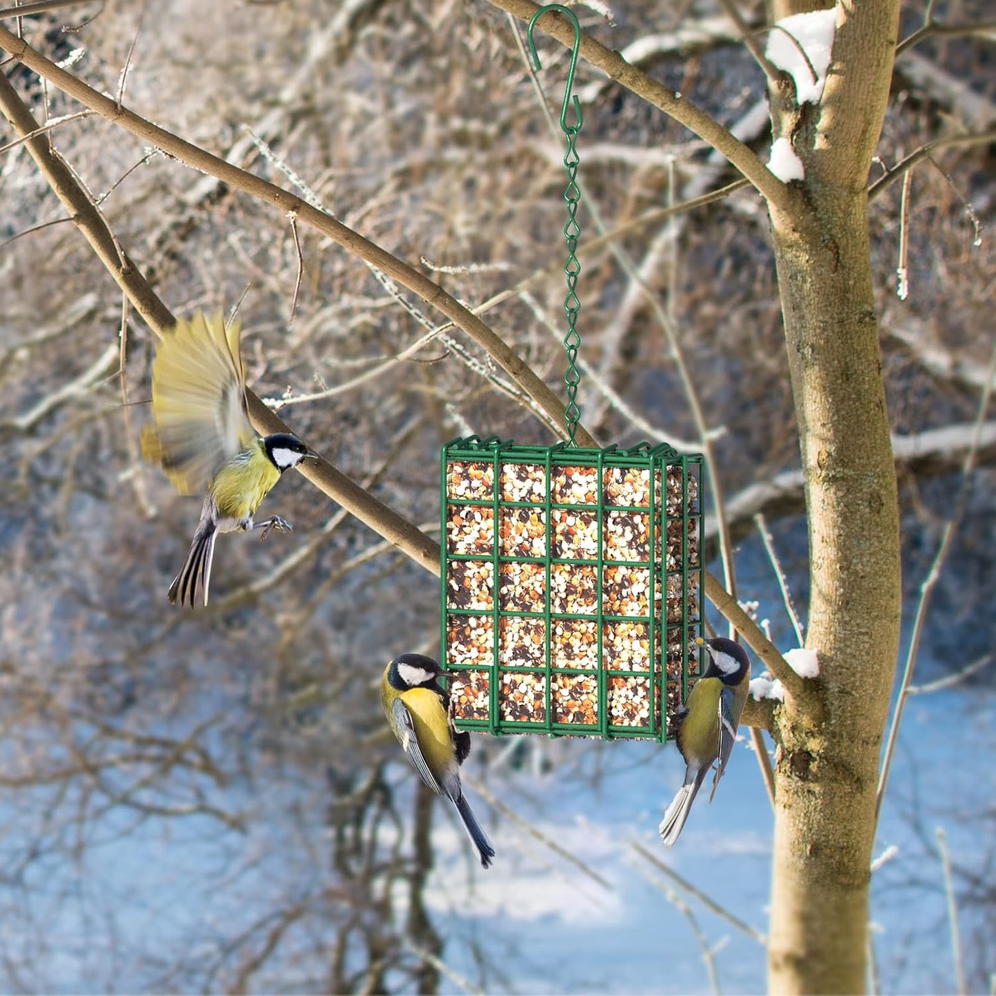 Bird Feeder for Outdoors, Suet Feeder Hanging Bird Feeder, Hanging for Garden Yard Outside - Single Suet Cake Feeders fo Attracting Birds