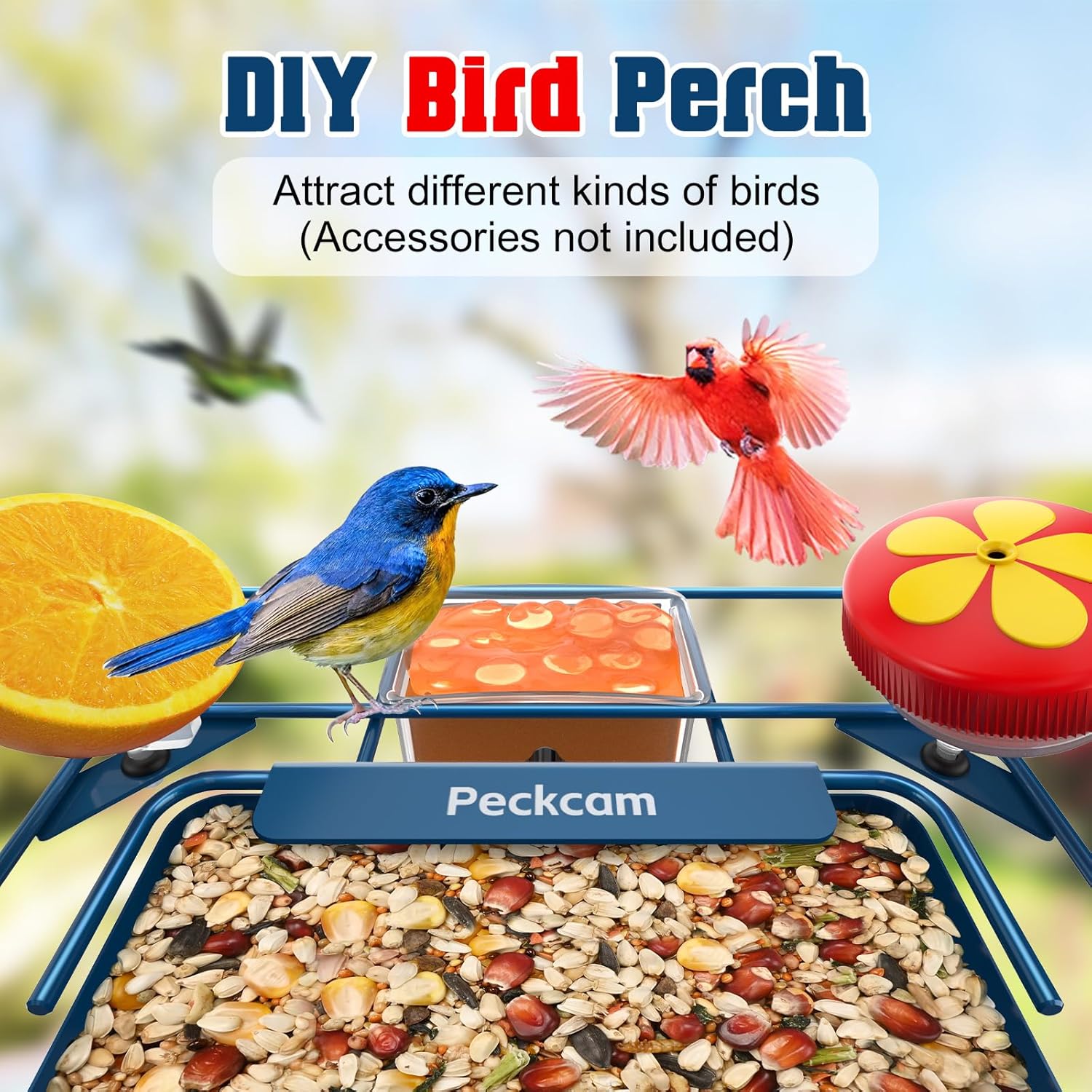 PeckCam® Bird Feeder with Camera, AI Identify 10000+ Birds, 2K HD Vide