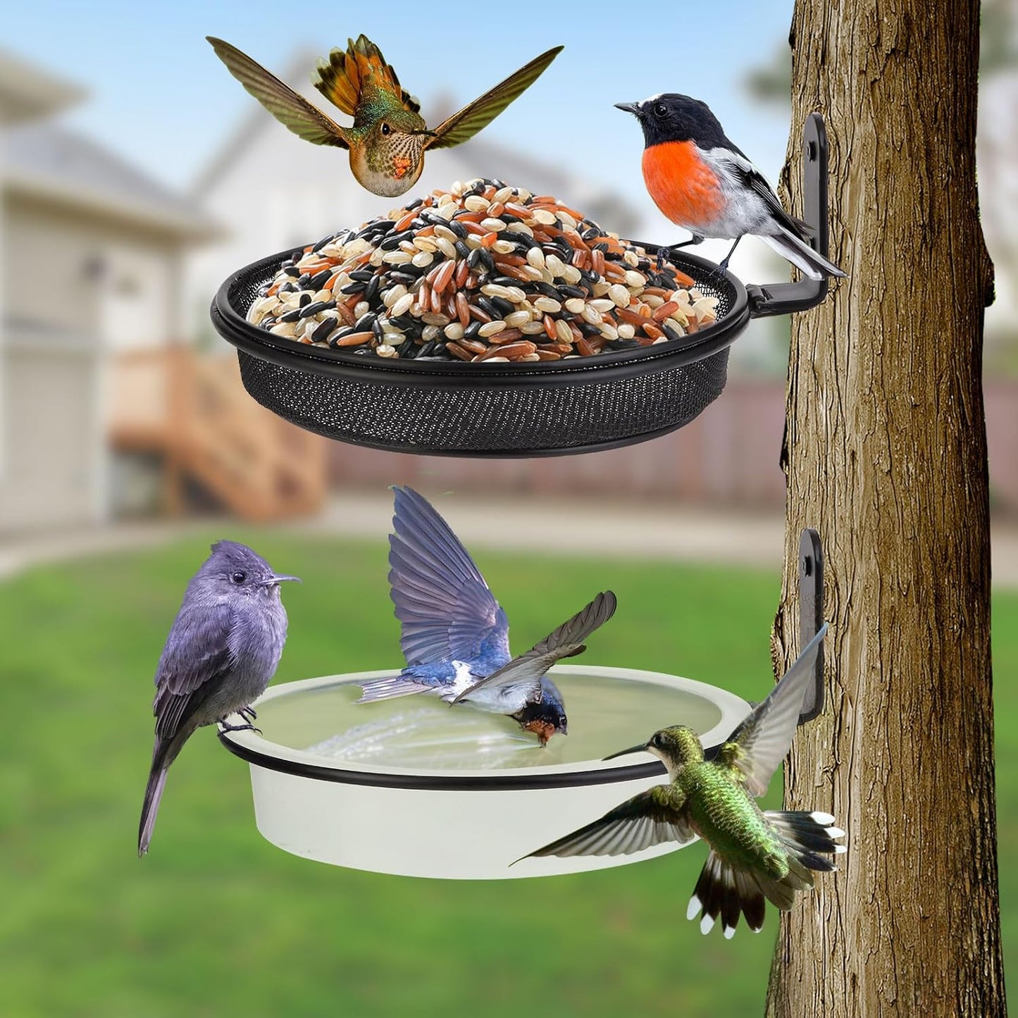 2 Fence Bird Feeder Trays - Outdoor Tree Mounted Wild Bird Bath, 7” in Diameter Feeders with Heavy-Duty Iron Rings, Installed on Wooden Fences, Trees, Decks, Indoor and Outdoor Walls