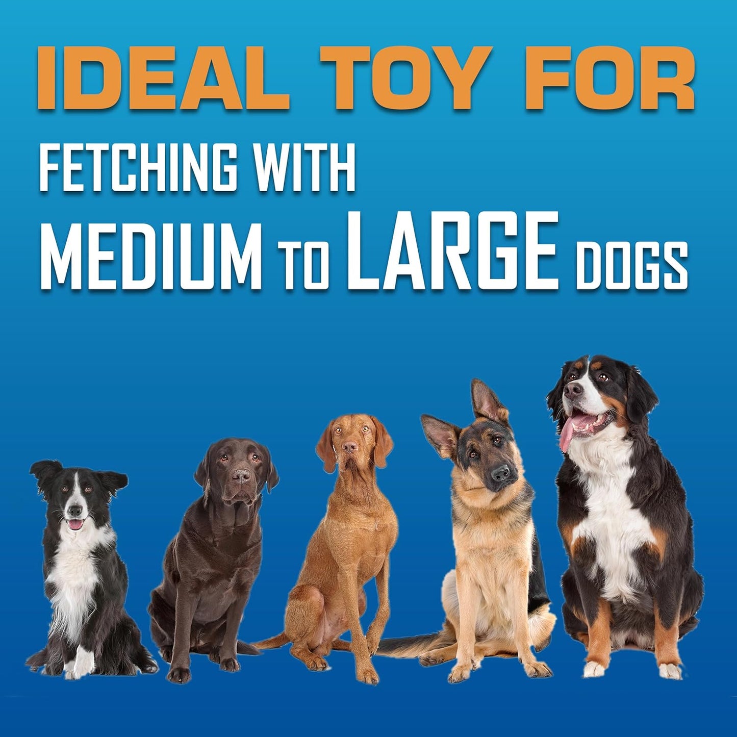 Nerf Dog Tire Flyer Dog Toy Gift Set, 10 Inch Flying Disc Dog Fetch To