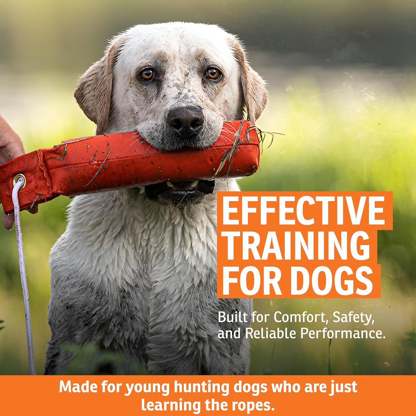SportDOG Canvas Dummies - Hunting Dog Training Tool - Game Scent Absor