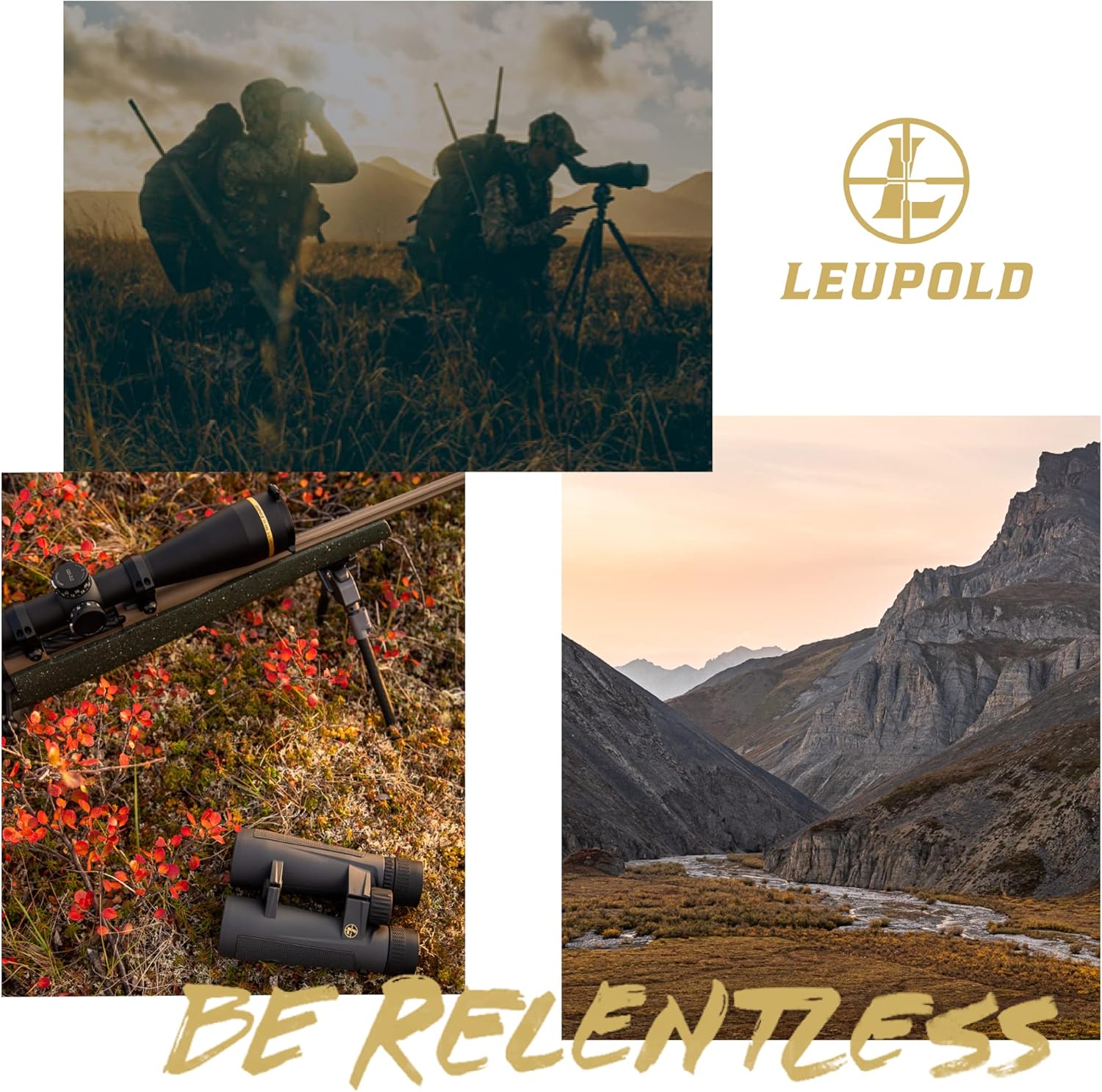 Leupold BX-4 Pro Guide HD Binoculars, 10x42mm, Shadow Gray (172666)