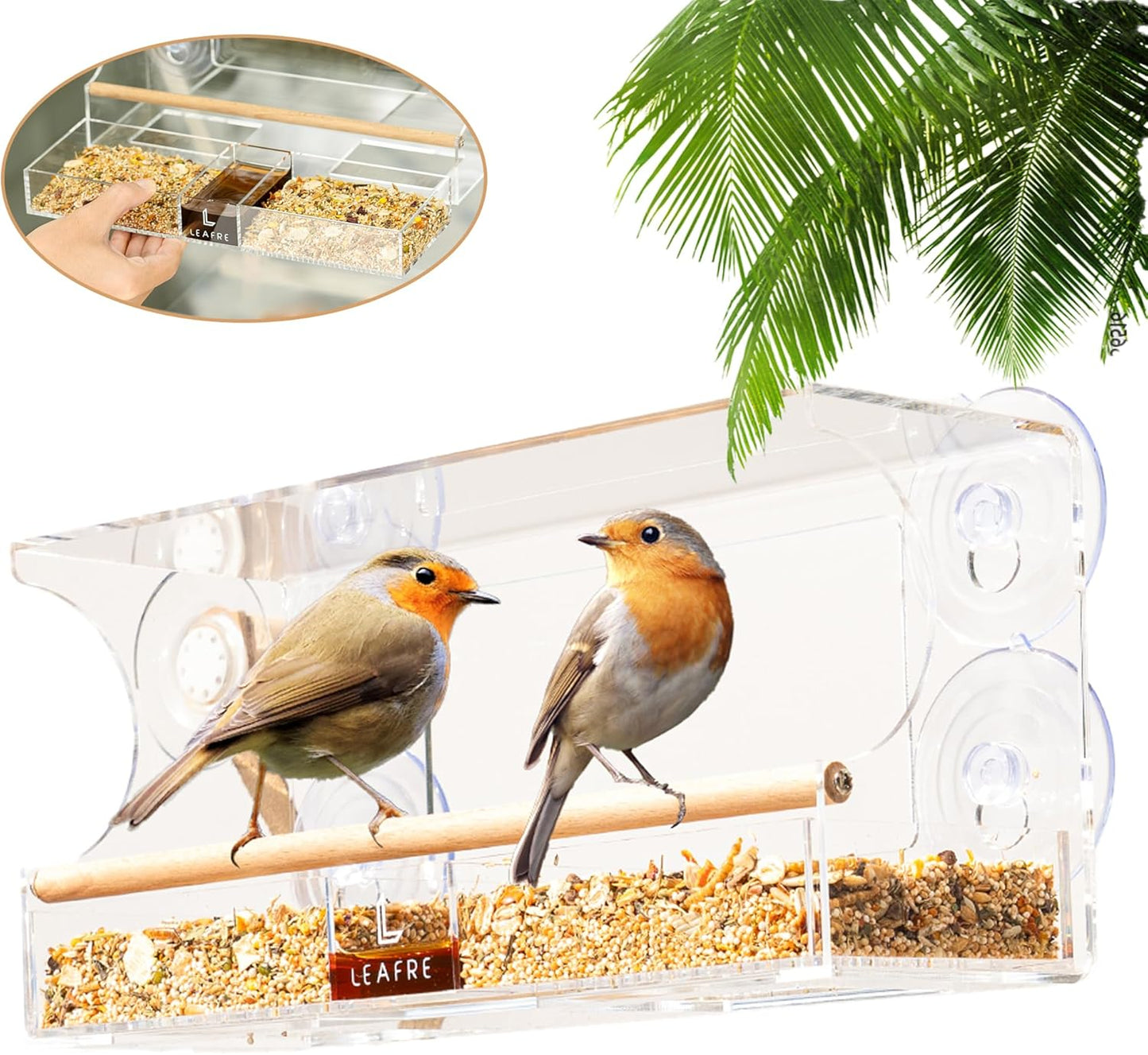 Clear Acrylic Bird Window Feeder - 3 in 1 Seeds, Nectar & Water | Easy-Cleaning & Removable Feeding Tray | Modern Style Wooden Stand | Bird Watching Gifts
