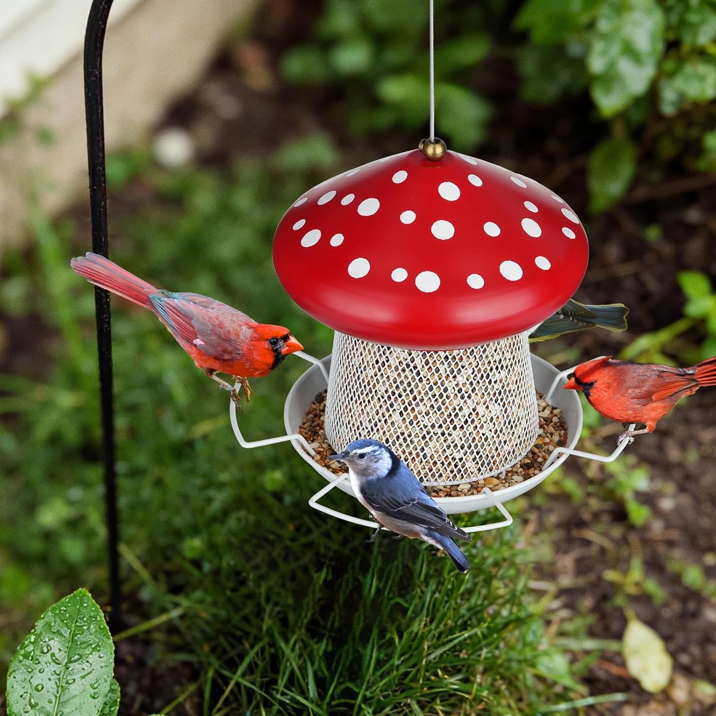 Bird Feeder, Heavy Duty Metal Bird Feeders for Outdoor Hanging, Cute Mushroom Shape 3.5 LB Large Capacity Wild Birdfeeder for Outside Garden Yard (Red)