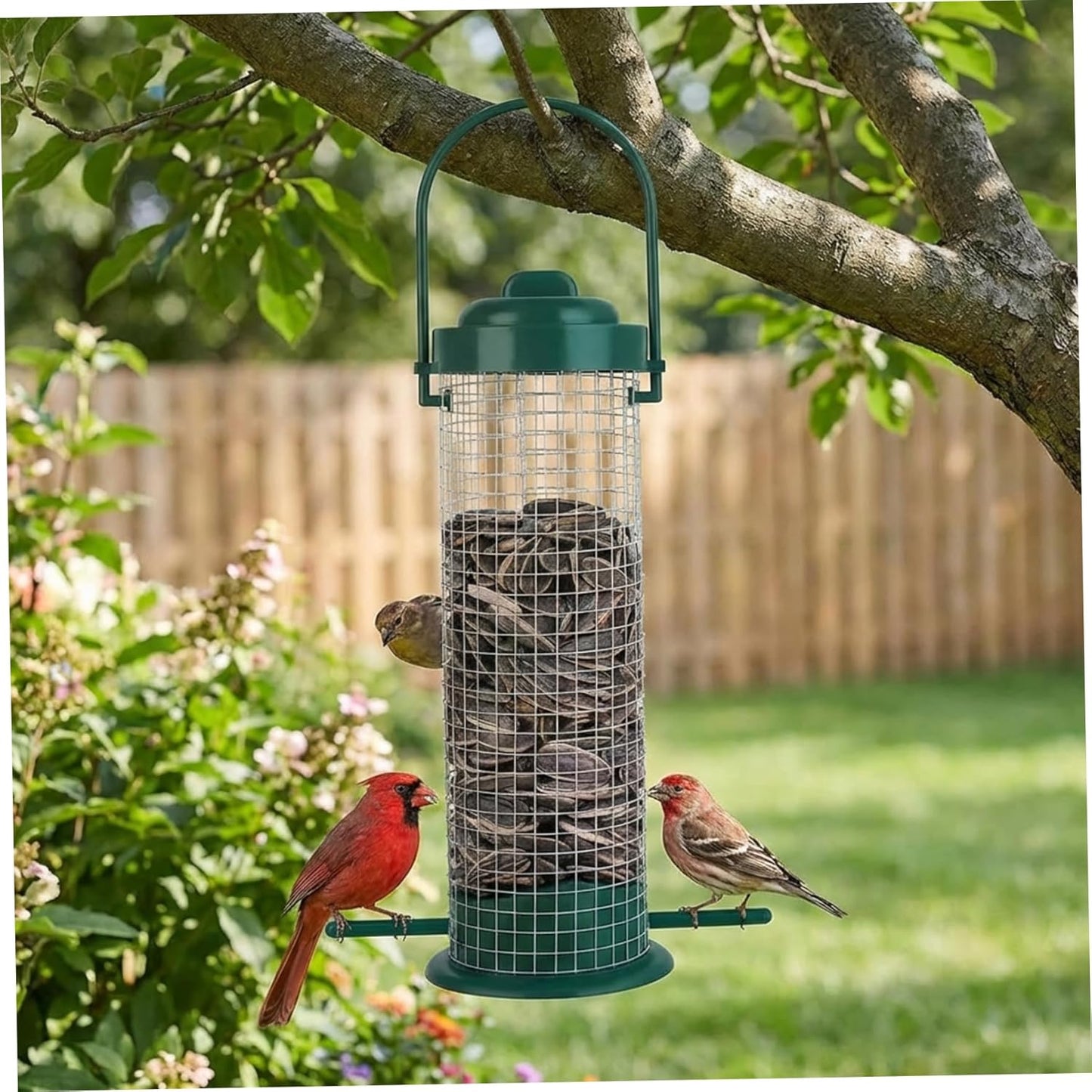 Thistle Bird Feeder, Metal Mesh Finch Feeder for Small Birds Outdoor Tube Birdfeeder for Garden, Patio, and Backyard Year-Round Bird Watching