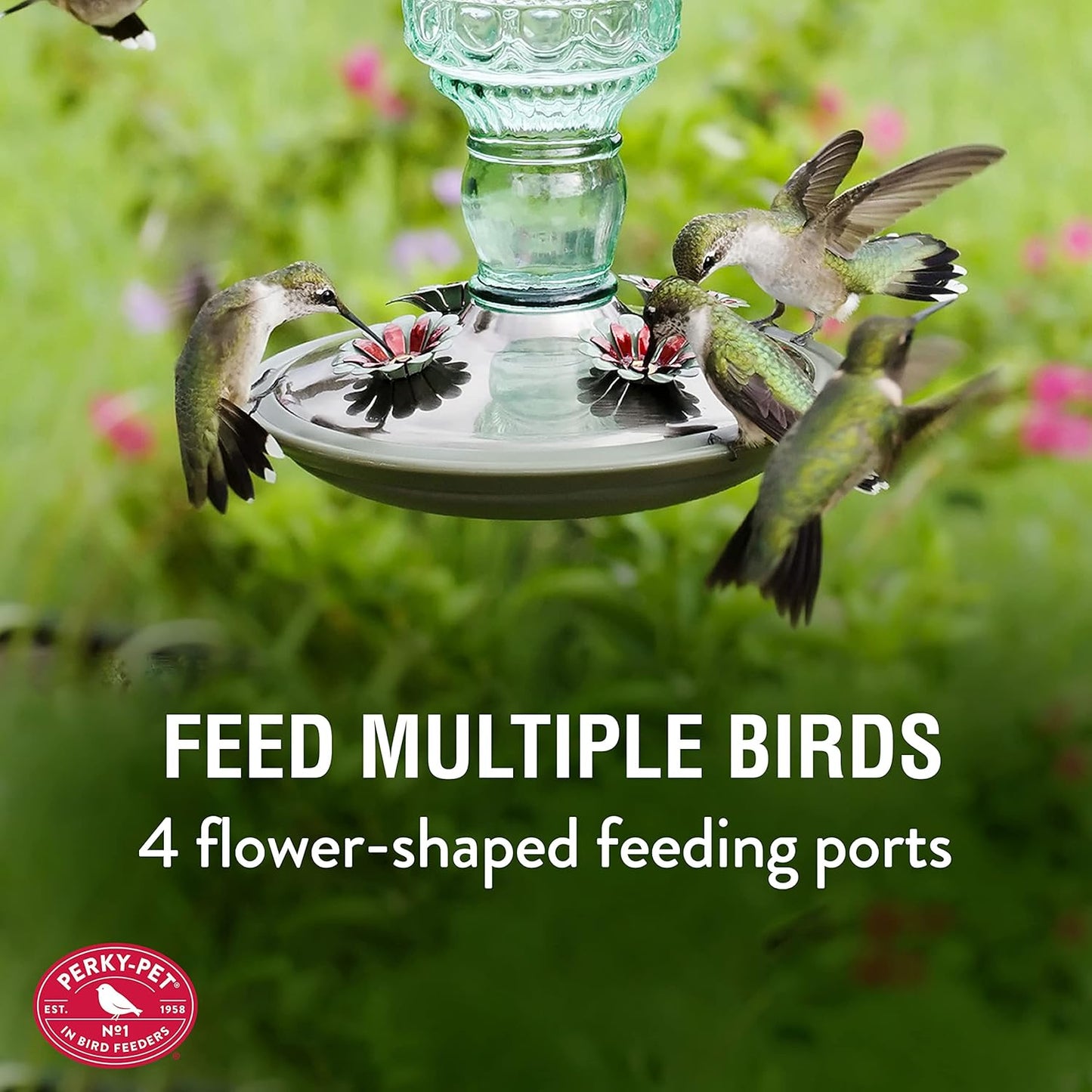 Perky-Pet 8108-1SR Antique Glass Bottle Hummingbird Feeder -10 oz + Perky-Pet 522 Ready-to-Use Clear Hummingbird Nectar in 4 Cans, 16 oz Each Recyclable Aluminum Can
