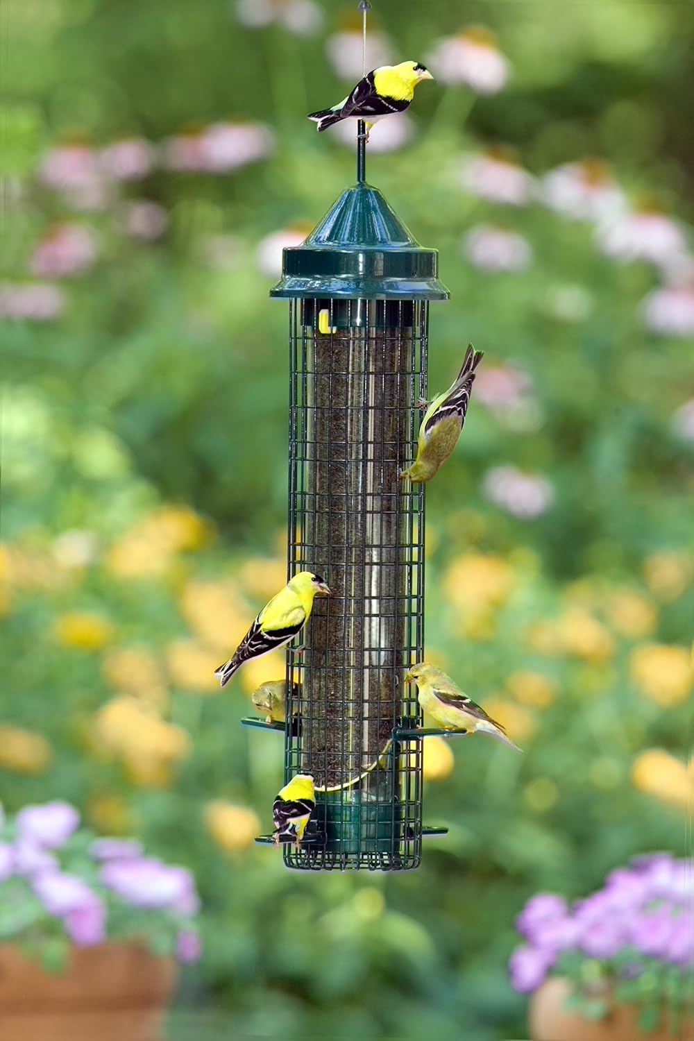 Squirrel Buster® Nyjer® – Squirrel-Proof Nyjer®/Thistle 2.4-pound Seed Capacity Feeder w/8 Feeding Ports & 4 Perches, Easy Fill & Clean, Durable Outdoor Feeder for Finches, Goldfinches & Small Birds