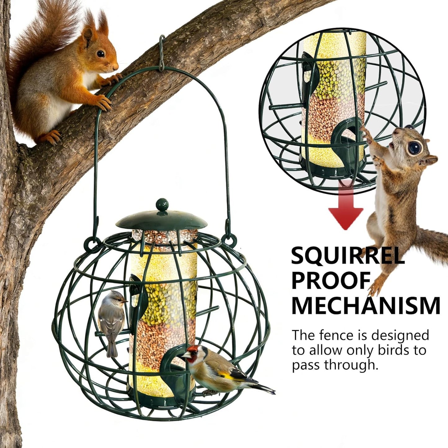 Squirrel Proof Bird Feeder - Outdoor Hanging Wild Bird Feeder, Large Capacity Weatherproof Tube Feeder with Base Tray, Finch Birdfeeder, Green