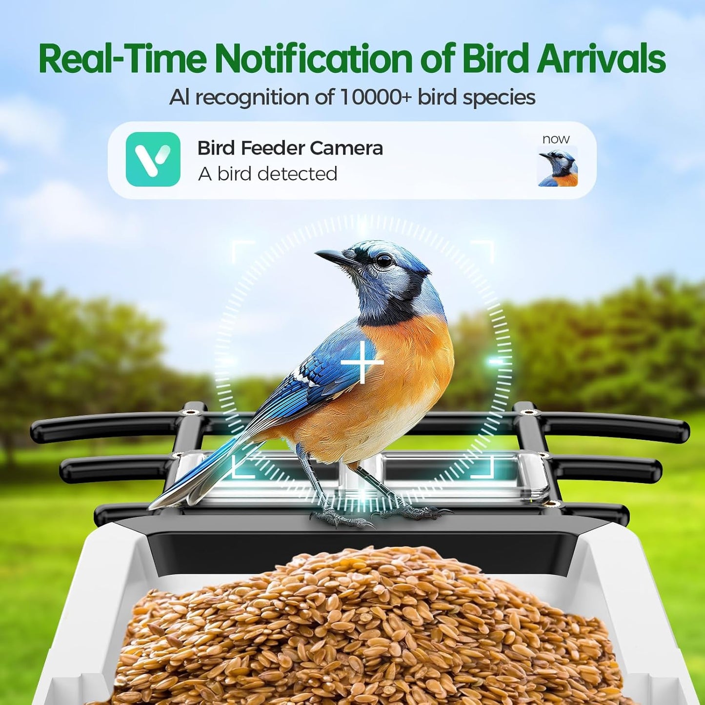 Smart Bird Feeder with Camera - Solar Powered Bird Watching Camera with 2K HD Live View, Auto Capture & AI Identify 10,000+ Species, 2.4G WiFi Outdoor Birdhouse, Ideal Gifts for Bird Lovers
