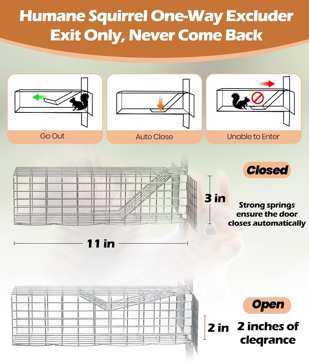 One Way Squirrel Door Excluder 11 × 3 × 3inch, Humane Squirrel Trap, R