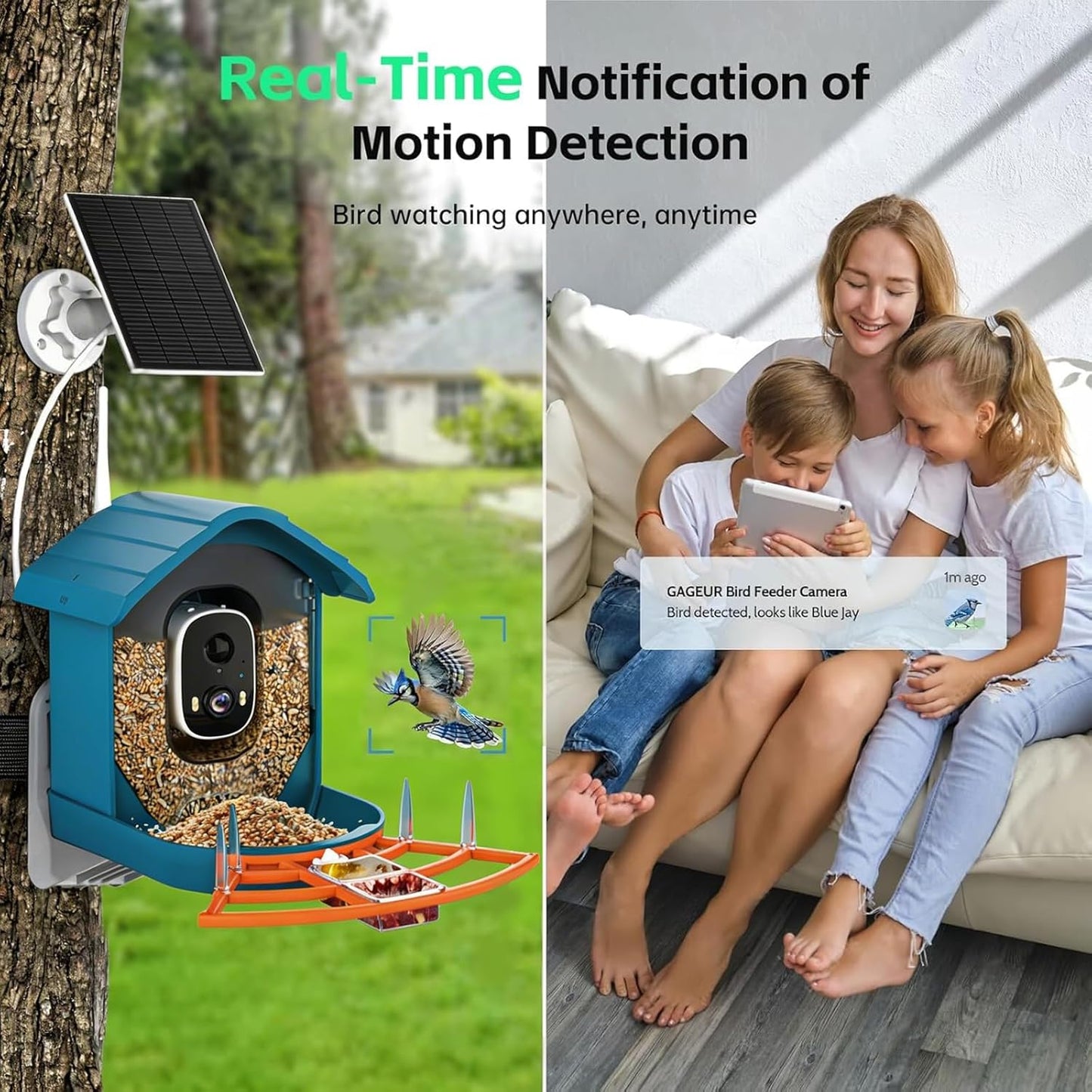 Bird Feeder with Camera, AI Bird Identification, Full HD Live Video, Solar Powered, 2.4Ghz WiFi, Instant Arrival Alerts