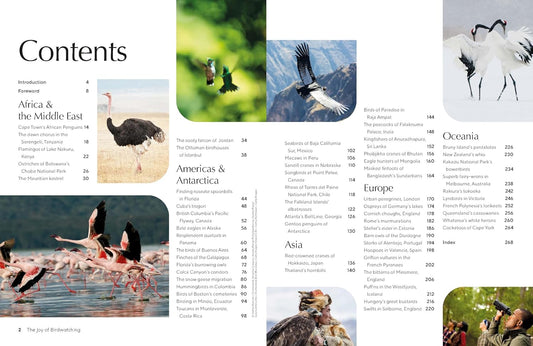 Lonely Planet The Joy of Birdwatching