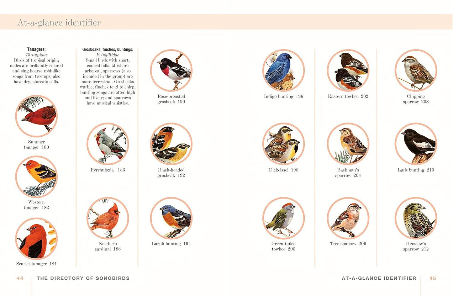 A Field Guide to Songbirds of North America: A Visual Directory of 100 of the Most Popular Songbirds