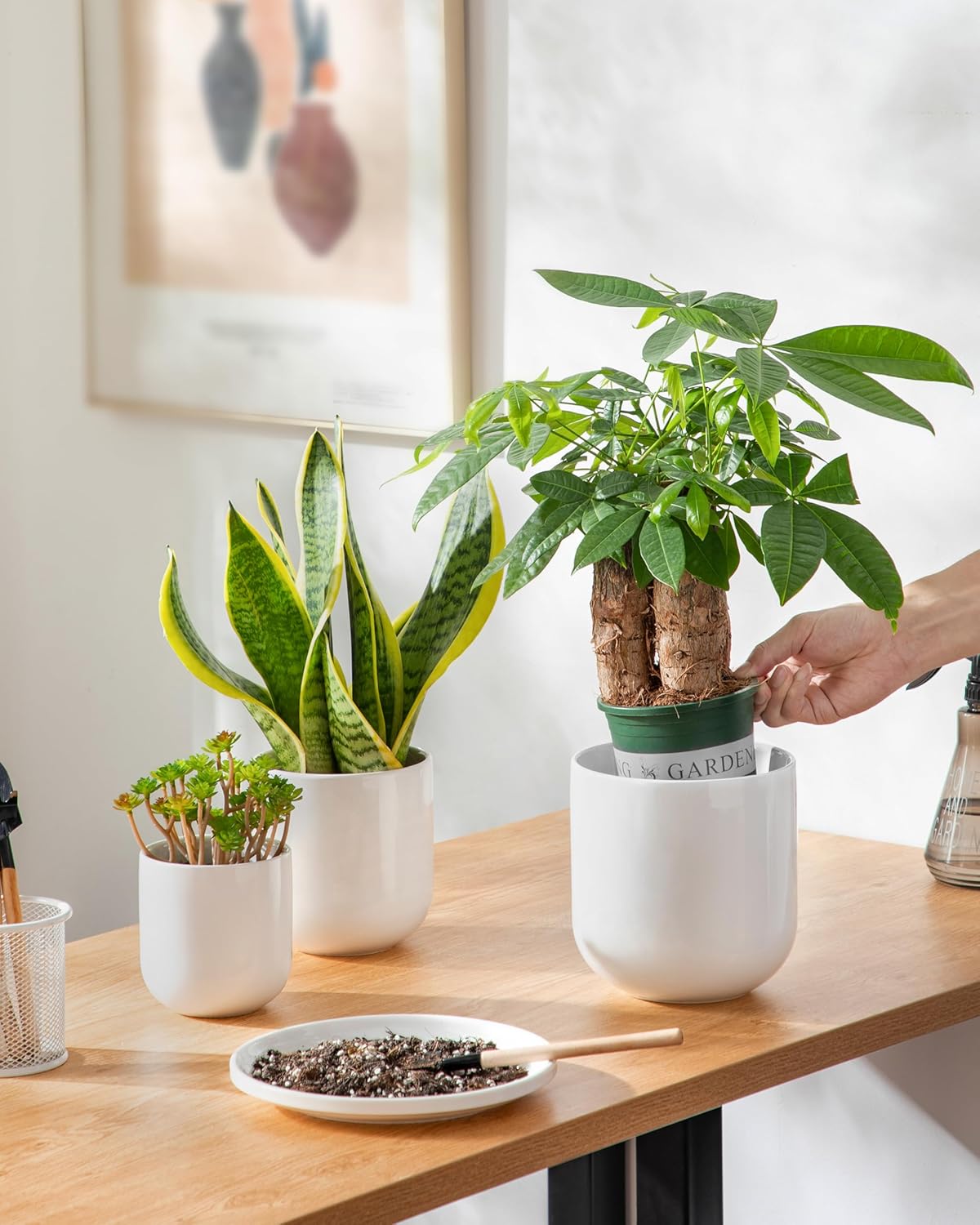 vancasso Ceramic Plant Pots, 4+5+6 inches, Set of 3, Planters with Dra