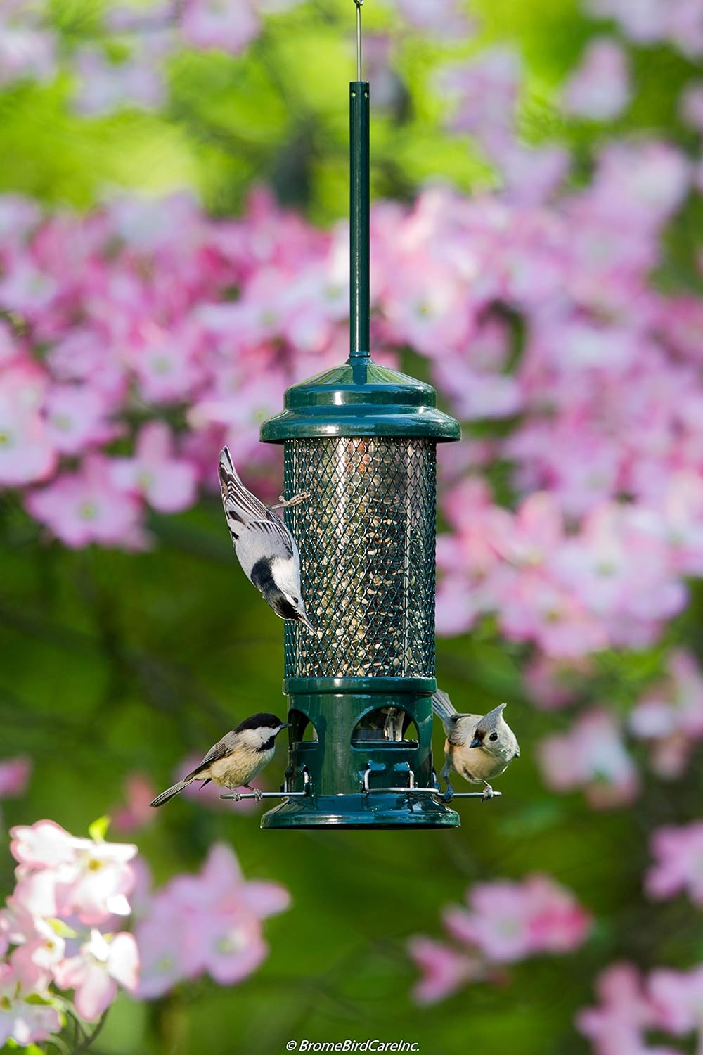 Squirrel Buster Suet Squirrel-Proof Suet Bird Feeder w/2 Suet Cake Tra